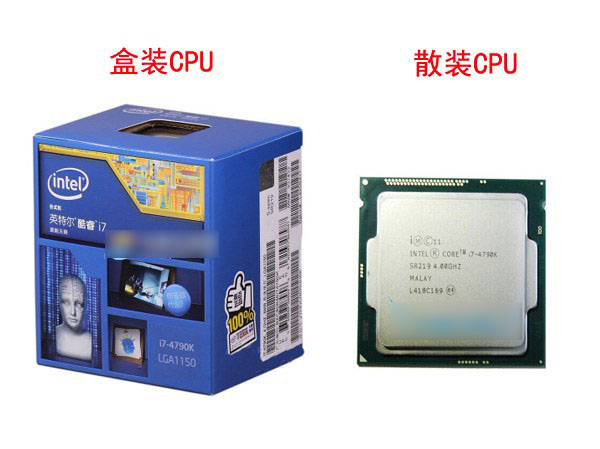 CPU盒裝和散裝哪個好？cpu散裝與盒裝的區(qū)別對比介紹