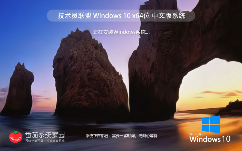 Win10純凈版鏡像下載 技術員聯(lián)盟Windows10 x64位系統(tǒng)下載 永久激活