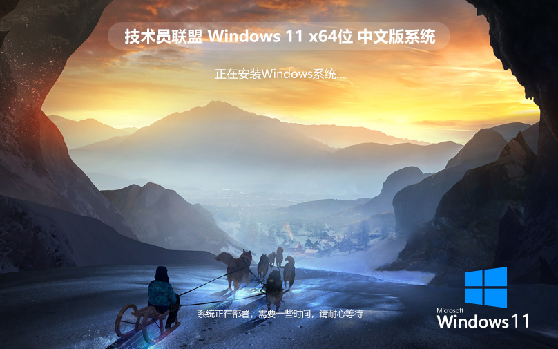 技術員聯(lián)盟win11專業(yè)版 ghost系統(tǒng) x64位經(jīng)典版下載 筆記本專用