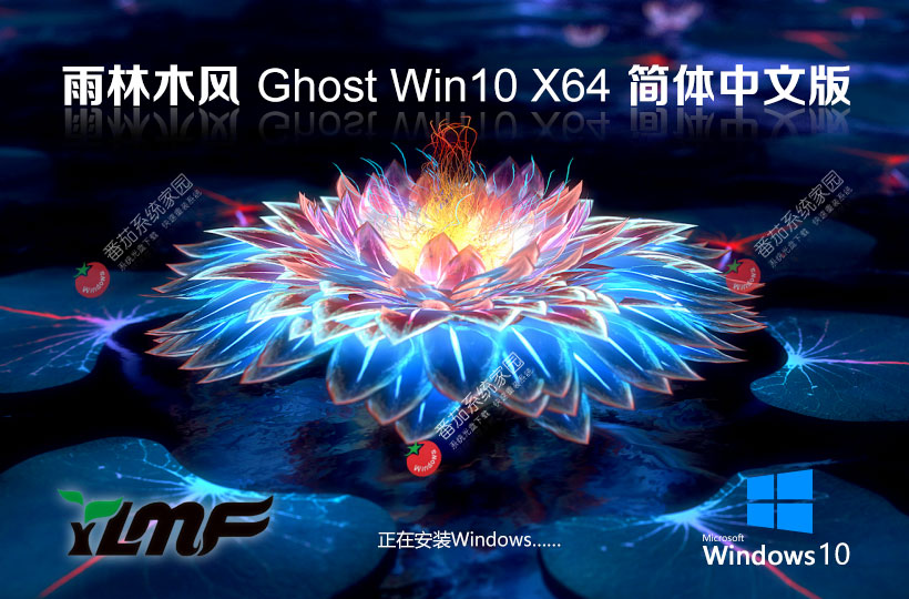 雨林木風Ghost Win10企業(yè)版下載 64位極品安裝版 戴爾筆記本專用下載