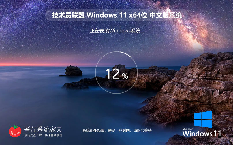 技術員聯(lián)盟win11 23H2專業(yè)版 x64位下載 ghost鏡像 筆記本專用下載 v2023