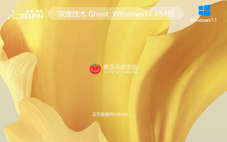 深度技術(shù)win11娛樂(lè)版 ghost系統(tǒng)下載 聯(lián)想電腦專用 x64加強(qiáng)版下載
