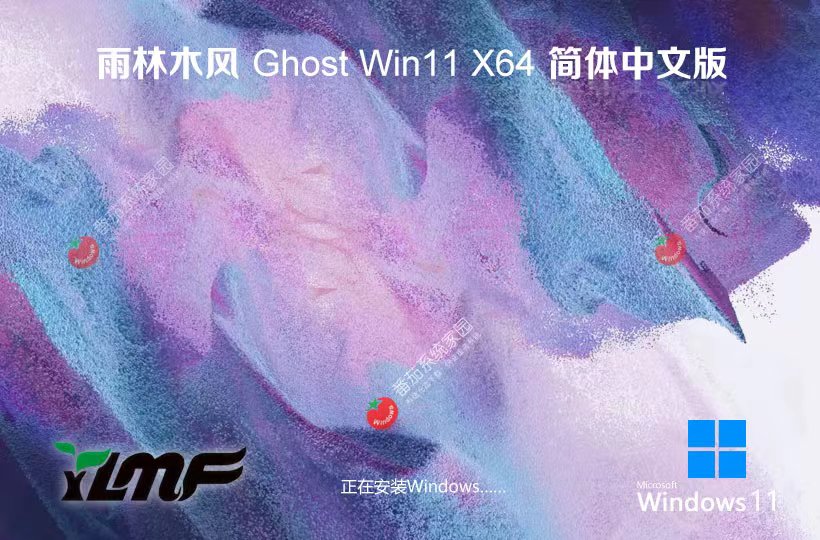 雨林木風(fēng)win11大師版 x64位穩(wěn)定版下載 永久免費(fèi) 官網(wǎng)鏡像下載