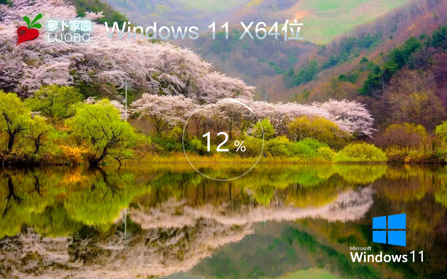 蘿卜家園64位中文版 win11專業(yè)版下載 免激活工具 筆記本專用下載