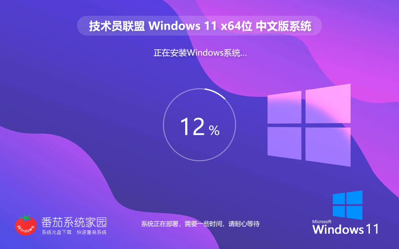 Windows11娛樂(lè)版下載 技術(shù)員聯(lián)盟64位系統(tǒng) 永久免費(fèi) 官網(wǎng)鏡像下載