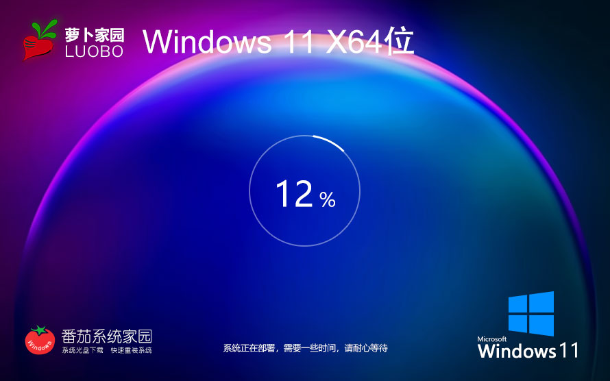 【專業(yè)人士首選】Windows11 23H2 64位 專業(yè)工作站版