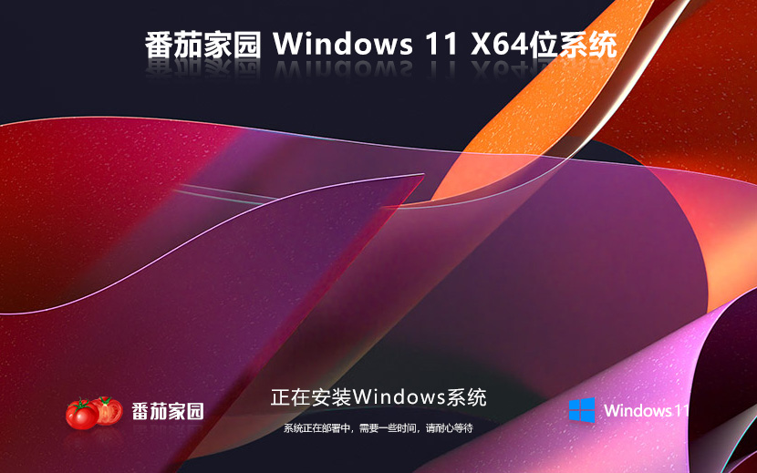 Windows 11 23H2 64位 專(zhuān)業(yè)調(diào)色版