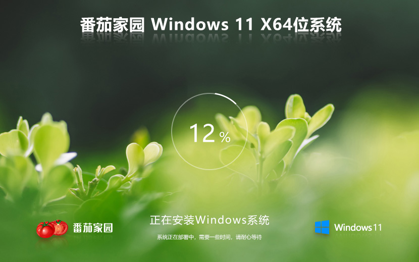 【番茄花園】Windows 11 23H2 X64 清爽精簡(jiǎn)版本