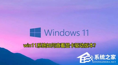 Win11如何查看顯卡驅(qū)動版本