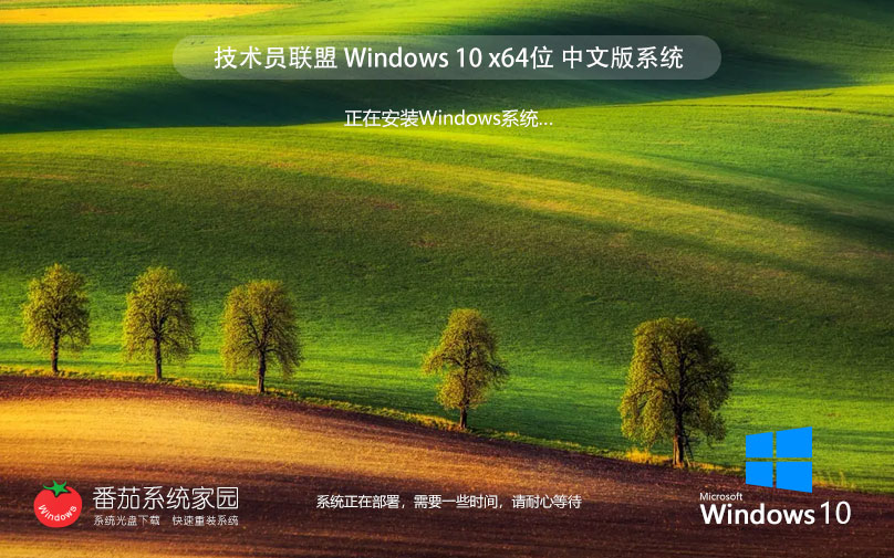 【技術(shù)員聯(lián)盟】Windows10 22H2 64位 簡體中文版