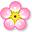 梅花英漢雙語詞典