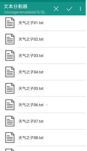 文本分割器
