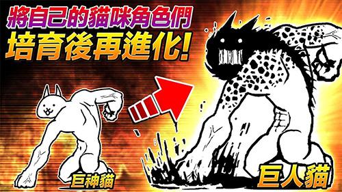 貓咪大戰(zhàn)爭(zhēng)