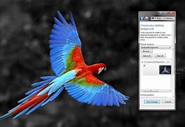 winxp xp系统下载