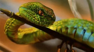 python3 2 和 Python 3 有哪些主要区别
